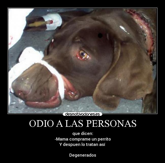 ODIO A LAS PERSONAS -