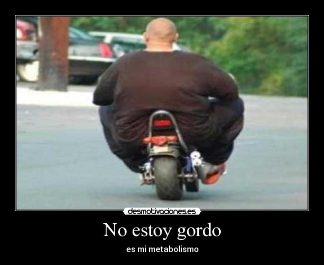 No estoy gordo - 