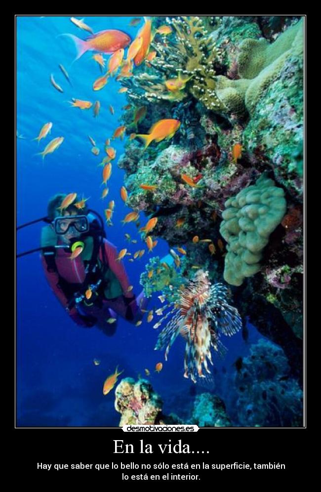 En la vida.... - Hay que saber que lo bello no sólo está en la superficie, también lo está en el interior.