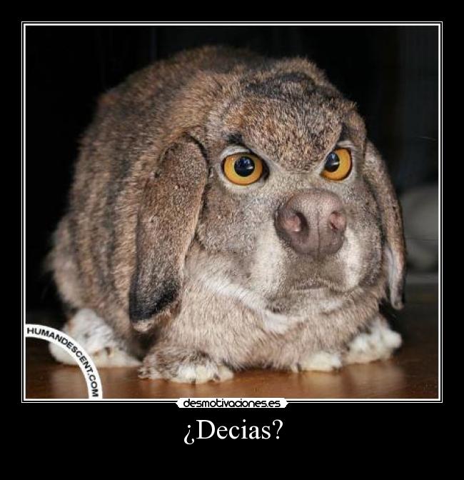 ¿Decias? - 