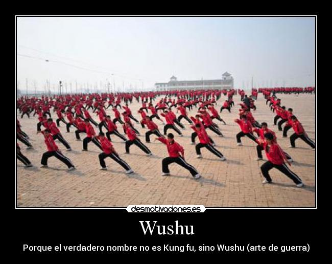 Wushu - Porque el verdadero nombre no es Kung fu, sino Wushu (arte de guerra)