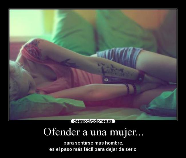 carteles mujer ofender una mujer desmotivaciones