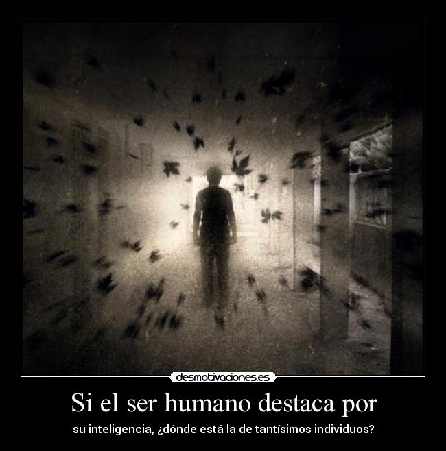 Si el ser humano destaca por - su inteligencia, ¿dónde está la de tantísimos individuos?