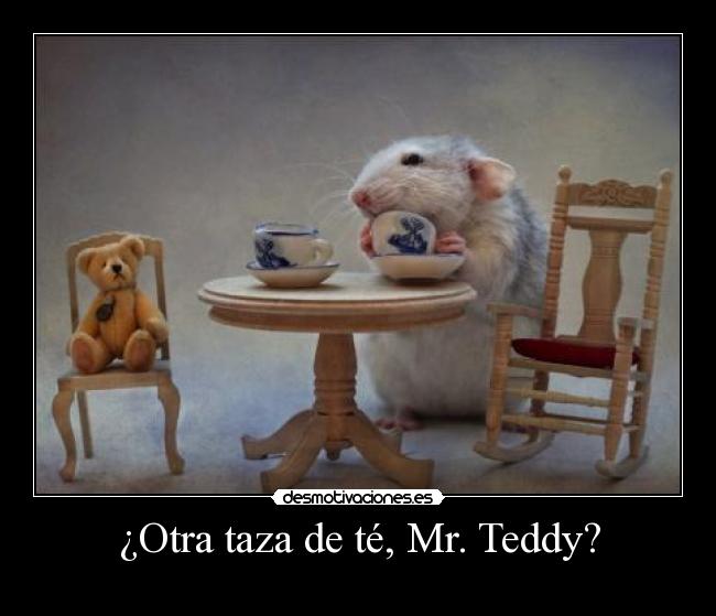 carteles teddy raton oso zorra implakable desmotivaciones