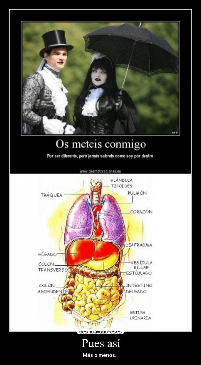 carteles cuerpo humano gotica gilipolleces organos interior bla bla bla desmotivaciones