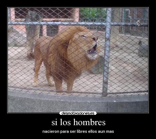si los hombres - nacieron para ser libres ellos aun mas