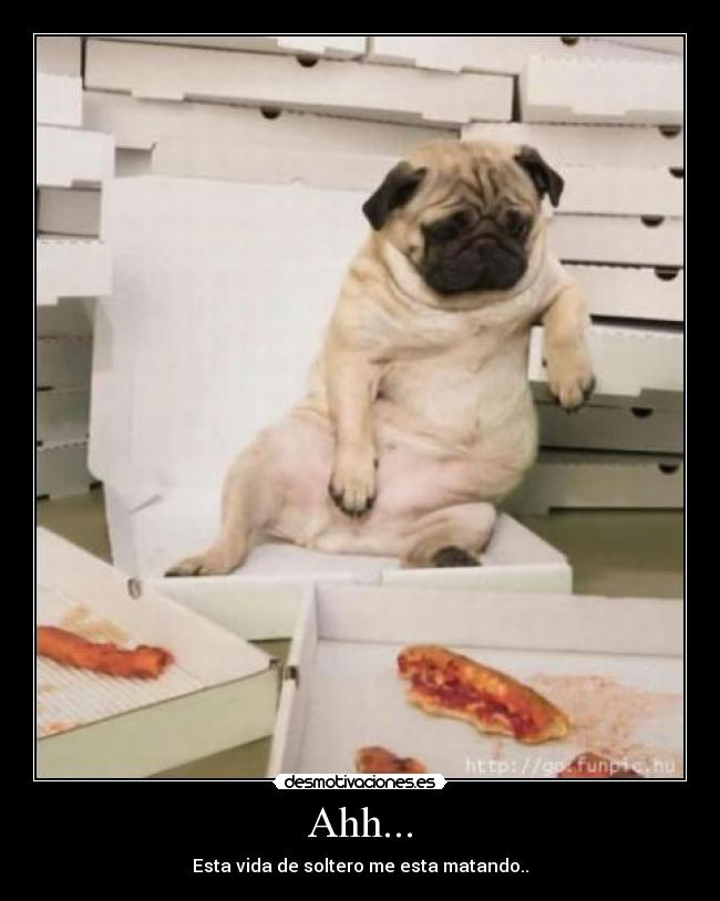 Ahh... - Esta vida de soltero me esta matando..