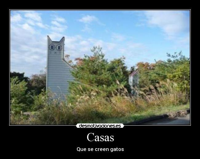 Casas - Que se creen gatos