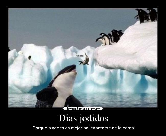 Días jodidos - Porque a veces es mejor no levantarse de la cama