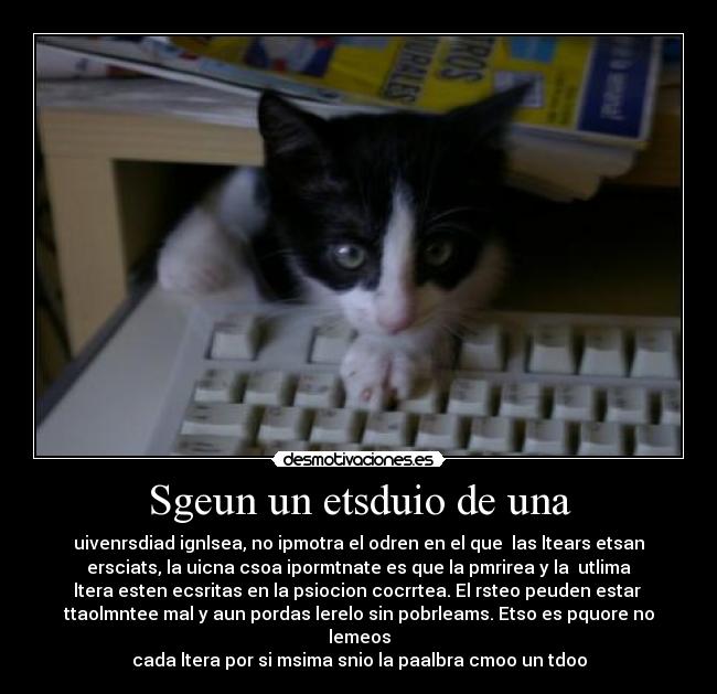 carteles escribir desmotivaciones