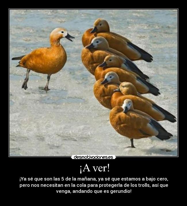 ¡A ver! - ¡Ya sé que son las 5 de la mañana, ya sé que estamos a bajo cero,
pero nos necesitan en la cola para protegerla de los trolls, así que
venga, andando que es gerundio!
