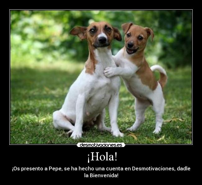 ¡Hola! - ¡Os presento a Pepe, se ha hecho una cuenta en Desmotivaciones, dadle
la Bienvenida!