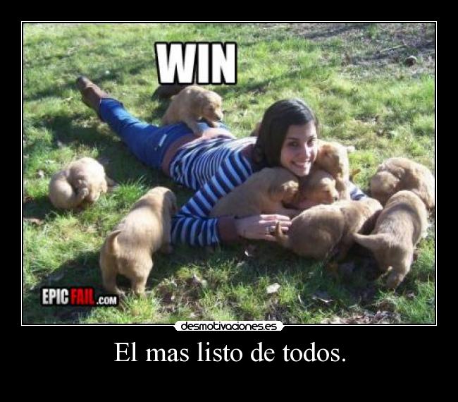 carteles desmotivaciones