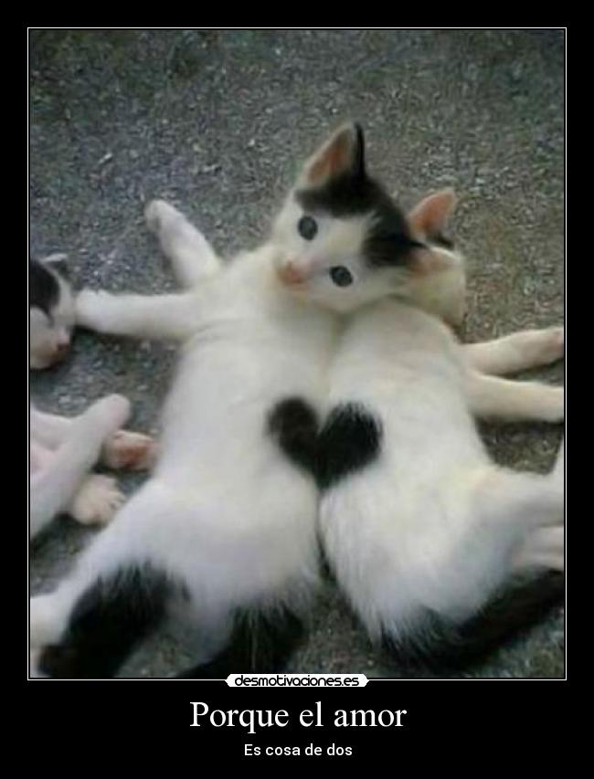 Porque el amor - Es cosa de dos