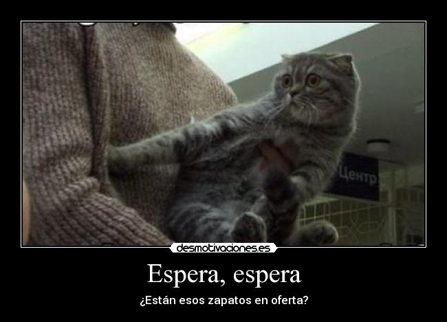 Espera, espera - ¿Están esos zapatos en oferta?