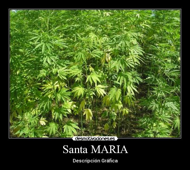 Santa MARIA -