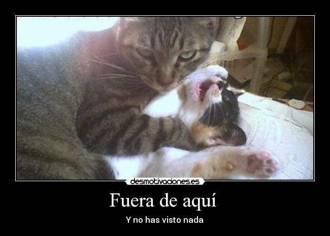 Fuera de aquí - Y no has visto nada