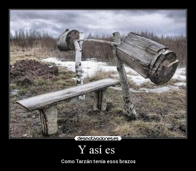 Y así es - Como Tarzán tenía esos brazos