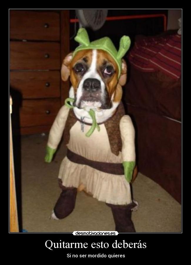 Quitarme esto deberás - Si no ser mordido quieres