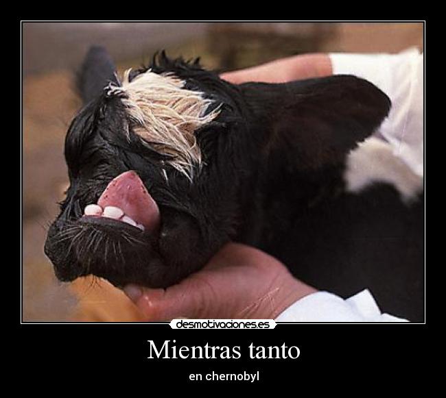 Mientras tanto - en chernobyl