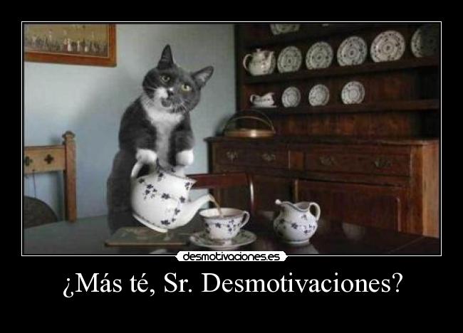 ¿Más té, Sr. Desmotivaciones? -