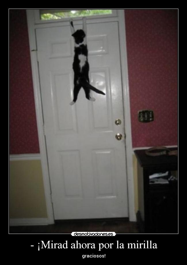 - ¡Mirad ahora por la mirilla - graciosos!