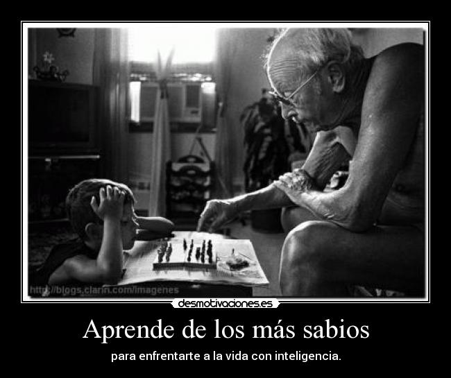 Aprende de los más sabios - 