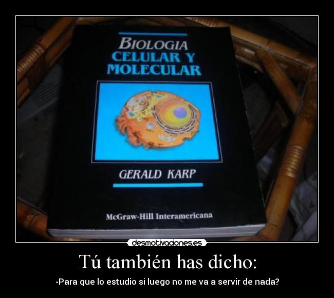 Tú también has dicho: - -Para que lo estudio si luego no me va a servir de nada?
