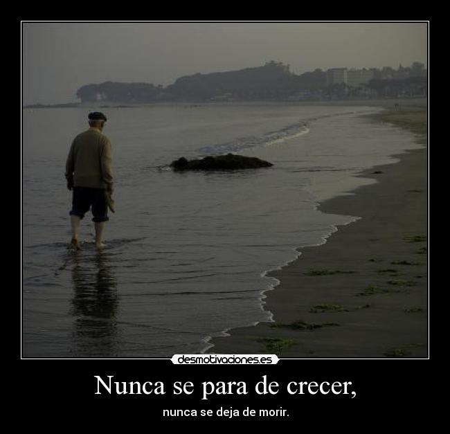 Nunca se para de crecer, - 