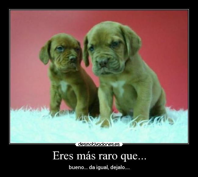 Eres más raro que... - bueno... da igual, dejalo....