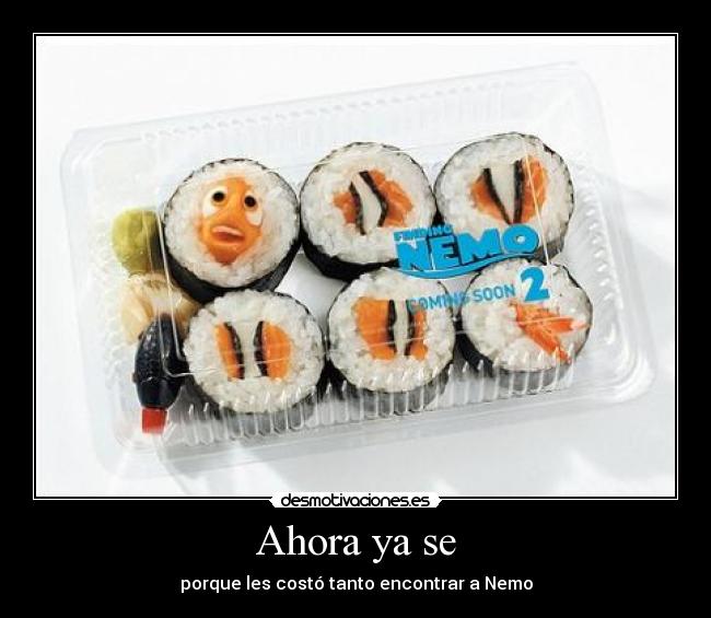 Ahora ya se - porque les costó tanto encontrar a Nemo