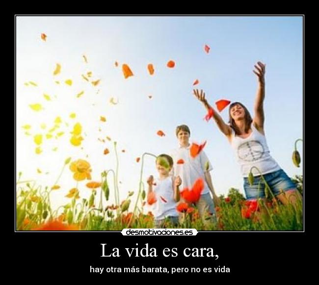 La vida es cara, - hay otra más barata, pero no es vida