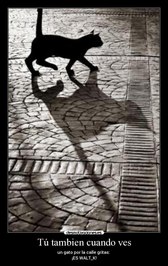 Tú tambien cuando ves - 