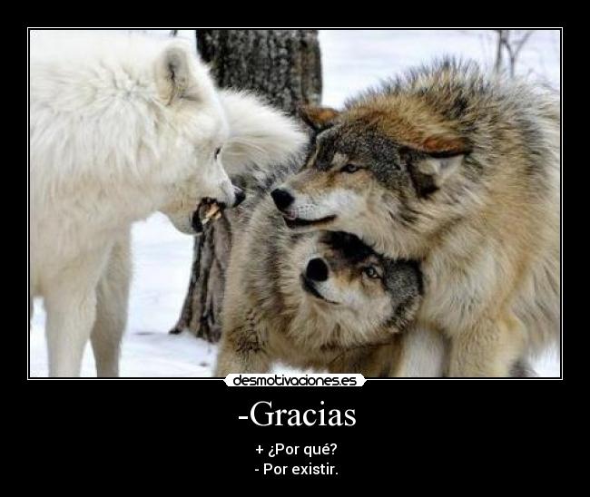 -Gracias -