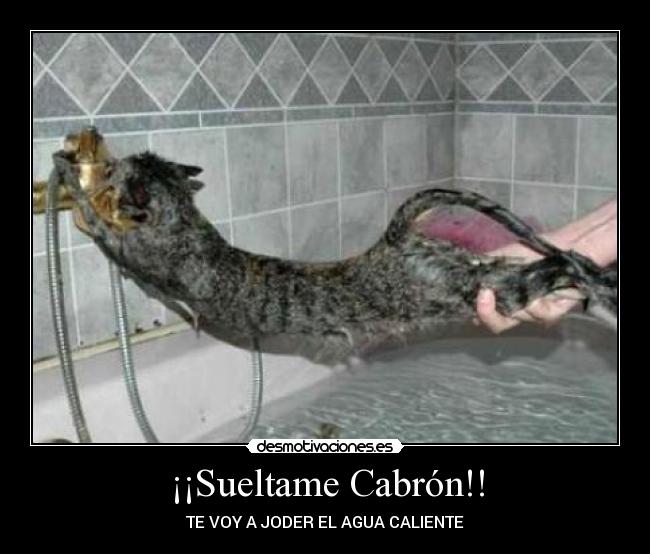 ¡¡Sueltame Cabrón!! -