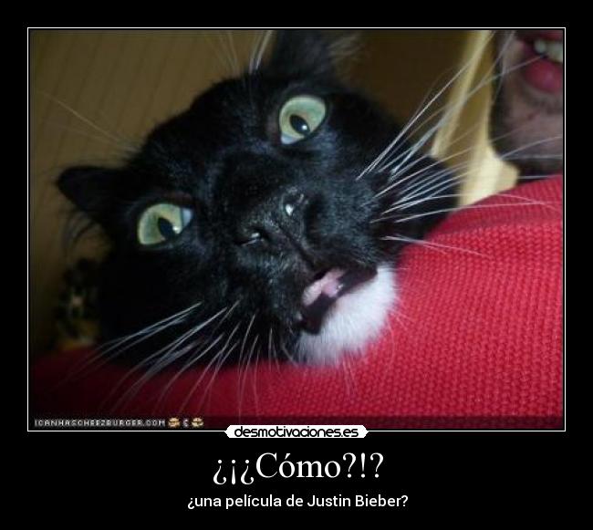 ¿¡¿Cómo?!? -