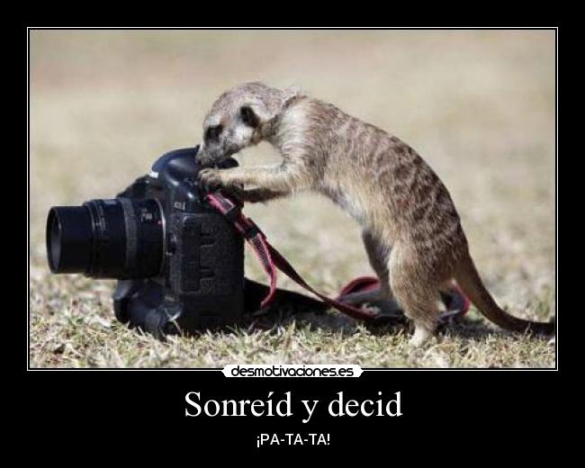 Sonreíd y decid - ¡PA-TA-TA!