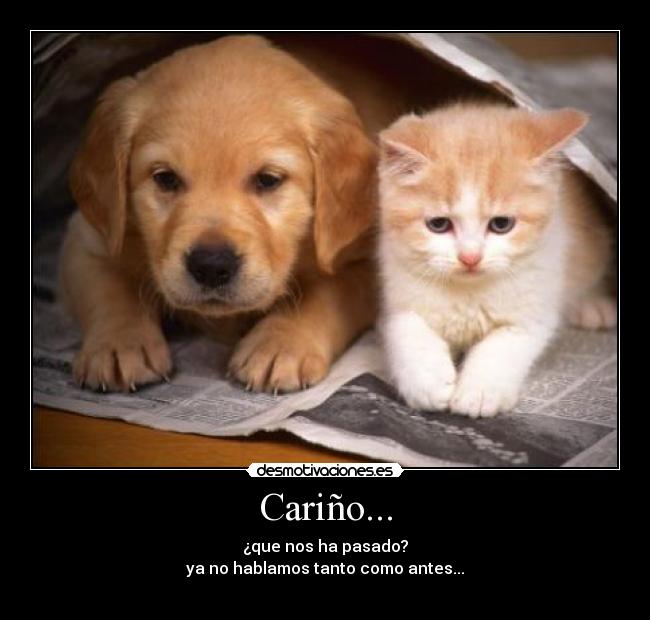 Cariño... - ¿que nos ha pasado?
ya no hablamos tanto como antes...