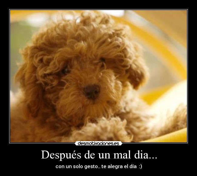 Después de un mal dia... - 