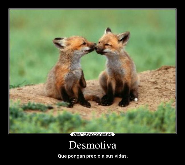 Desmotiva - 