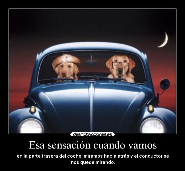 Esa sensación cuando vamos - en la parte trasera del coche, miramos hacia atrás y el conductor se
nos queda mirando.