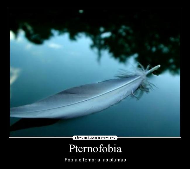 Pternofobia - Fobia o temor a las plumas
