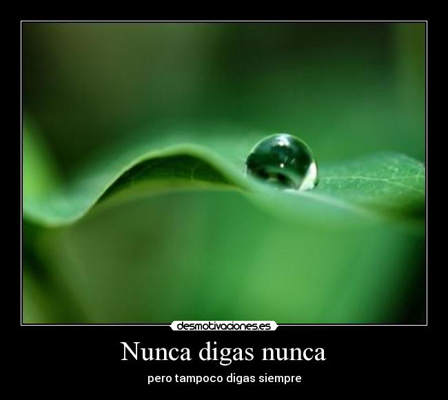 carteles nuncasiempre desmotivaciones