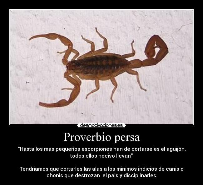 Proverbio persa - Hasta los mas pequeños escorpiones han de cortarseles el aguijón,
todos ellos nocivo llevan
Tendriamos que cortarles las alas a los minimos indicios de canis o
chonis que destrozan el pais y disciplinarles.