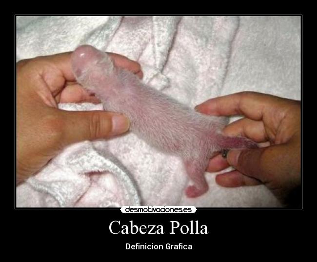 carteles 89ud desmotivaciones