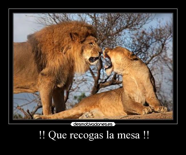 !! Que recogas la mesa !! - 