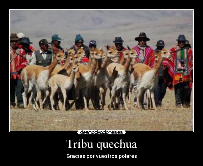 Tribu quechua -