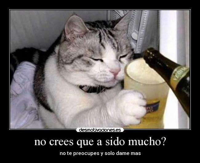 no crees que a sido mucho? - no te preocupes y solo dame mas