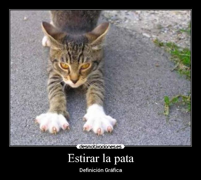 Estirar la pata - Definición Gráfica