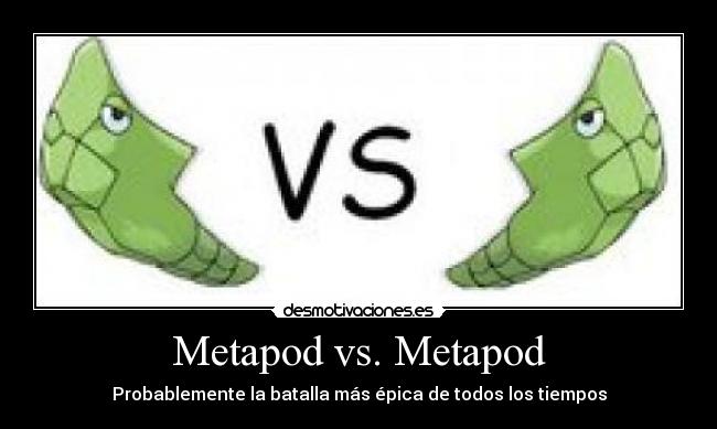 Metapod vs. Metapod - Probablemente la batalla más épica de todos los tiempos